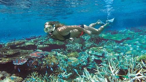 海口观澜湖举办“烟花与烟火与共”2024 观澜湖业主春节联欢晚会节目评选活动